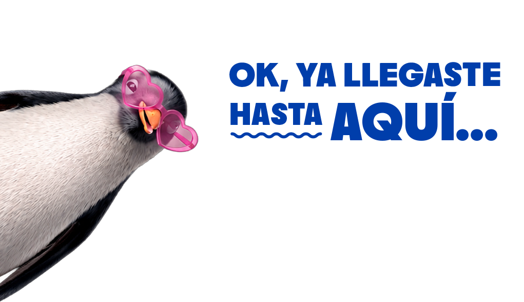 Pingüino