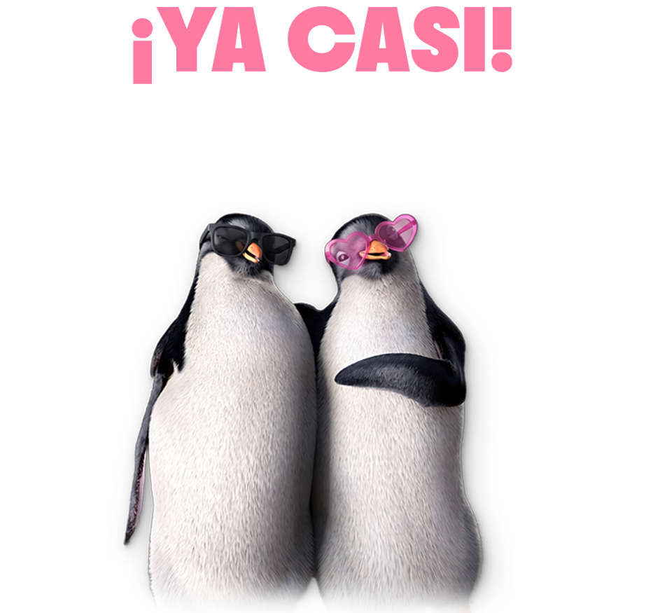 ¡Ya casi!